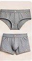 Briefs